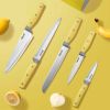 Hecef Knife Set, 5 Pieces Kitchen Knives with Universal Knife Block, Stainless Steel Blade with Triple-Rivets PP Handle